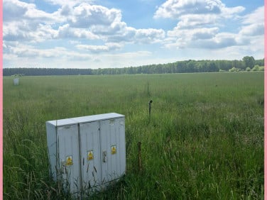 Działka Rudziniec