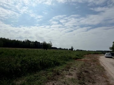 Działka Budy Trzcińskie