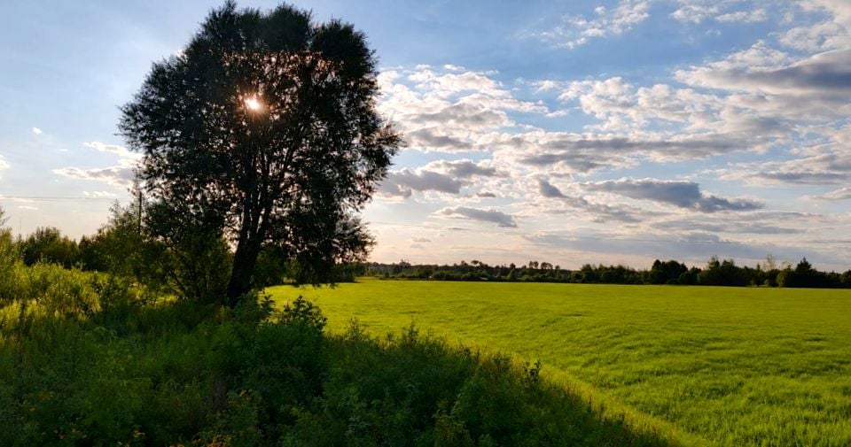 Działka inwestycyjna Skierniewice