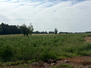 Działka budowlana Budy Trzcińskie