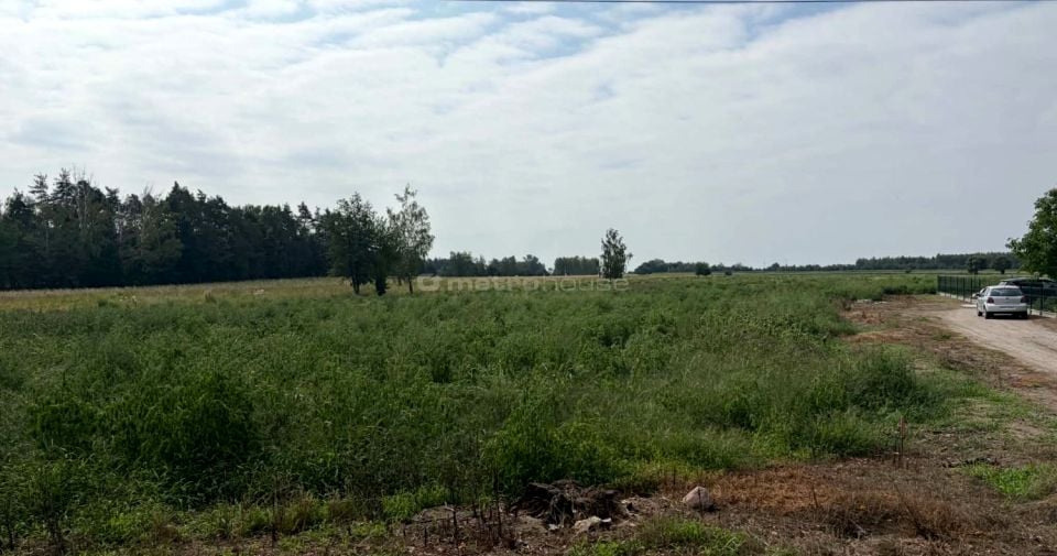 Działka budowlana Budy Trzcińskie