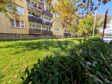 Mieszkanie Częstochowa