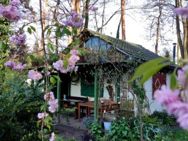 Działka rekreacyjna Sopot