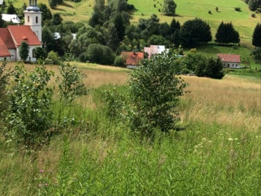 Działka rolna Michałkowa