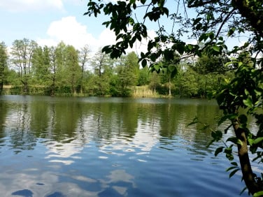Działka budowlana Zalesie