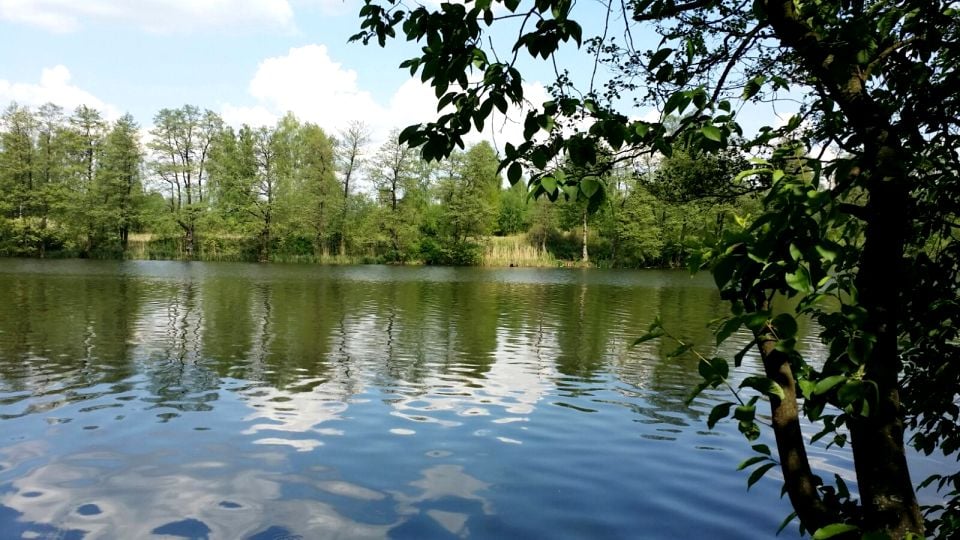 Działka budowlana Zalesie
