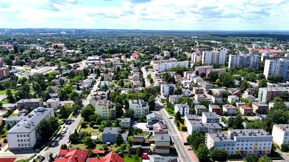 Zdjęcie 2