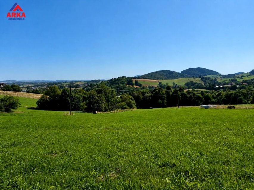 Działka Skrzydlna