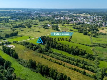Działka Pasieka