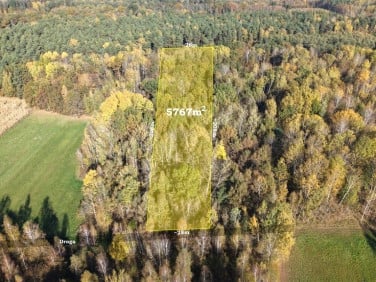 Pusta działka Strzeszewo