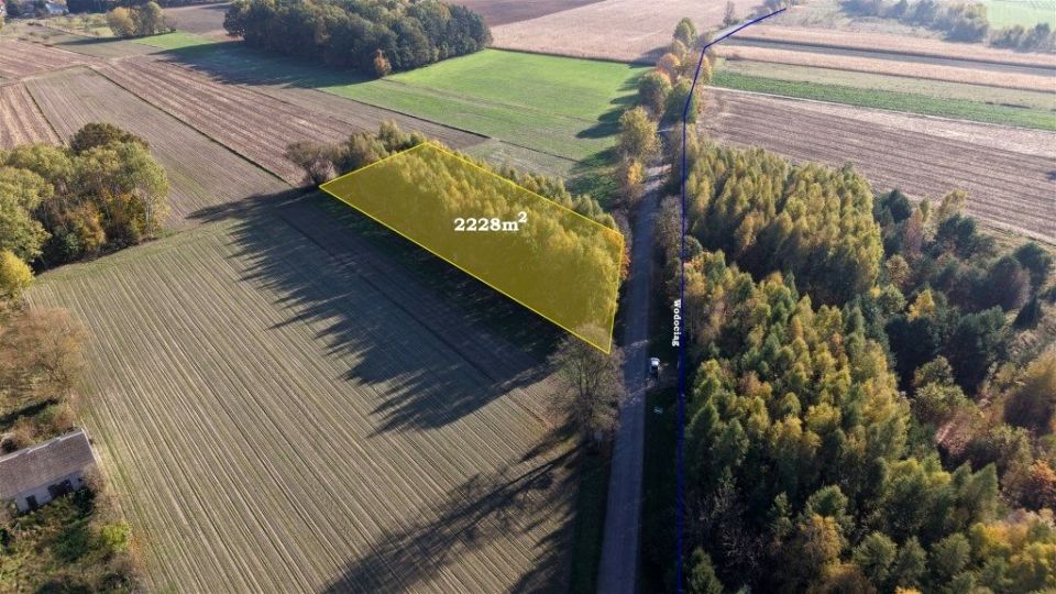 Zdjęcie 3