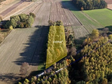 Pusta działka Strzeszewo