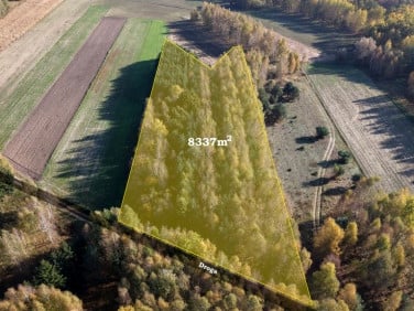 Pusta działka Strzeszewo