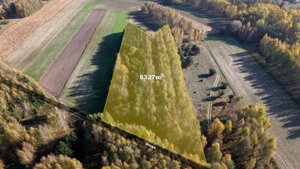 Pusta działka Strzeszewo