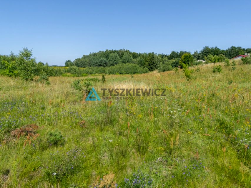 Zdjęcie 3
