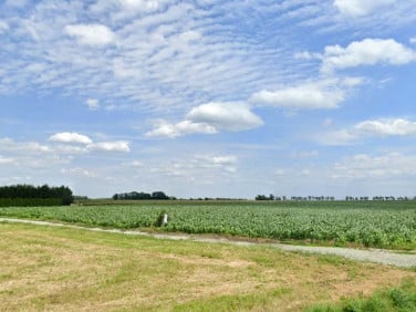 Działka budowlana Milejowice