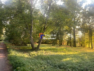 Działka przy lesie
