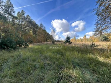 Działka Bledzew