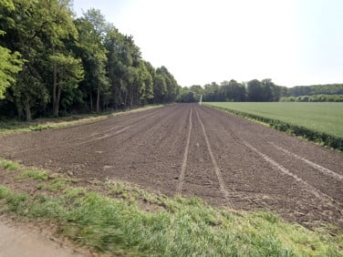 Działka siedliskowa Tyniec Mały