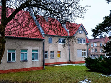 Lokal Zielona Góra wynajem