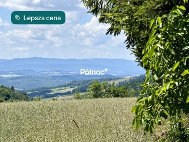 Działka Dziwiszów