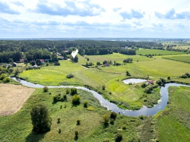 Działka Dzikie-Kolonia