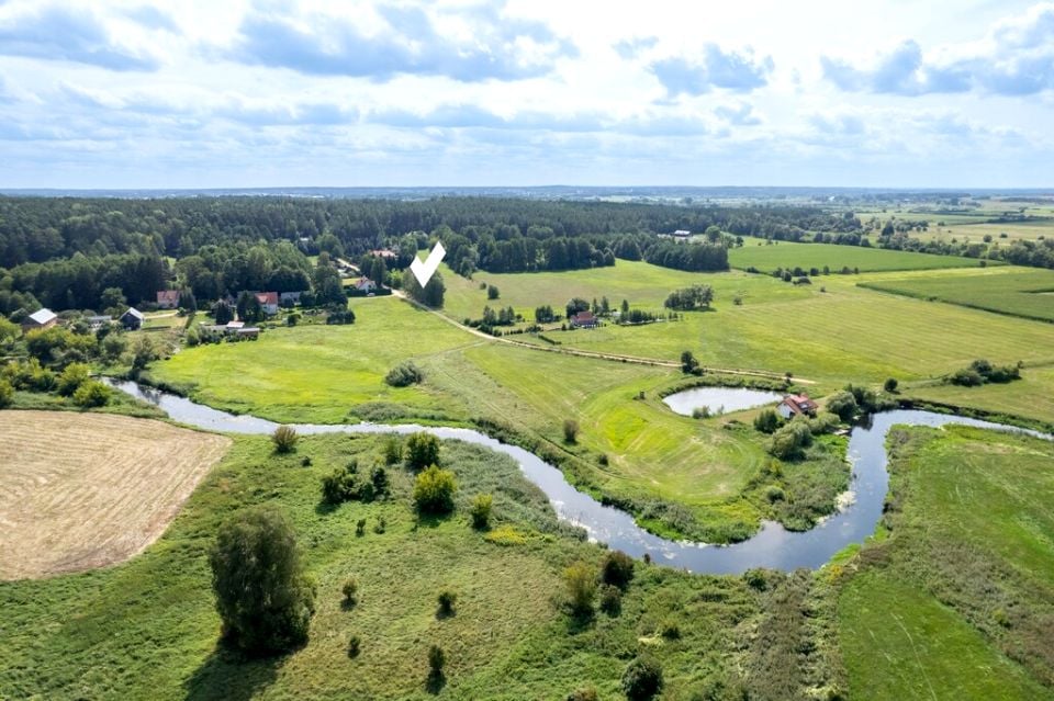 Działka Dzikie-Kolonia