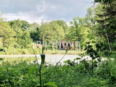 Dom Złocieniec