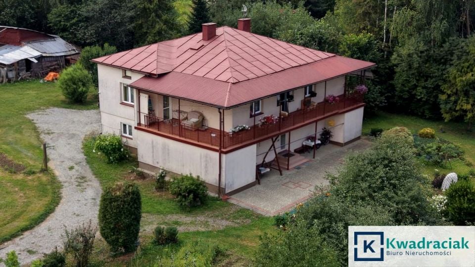 Zdjęcie 2