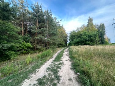 Działka budowlana Rosanów sprzedam