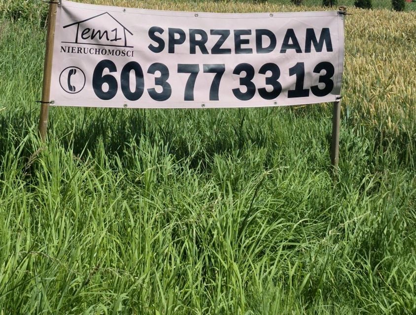 Zdjęcie 3