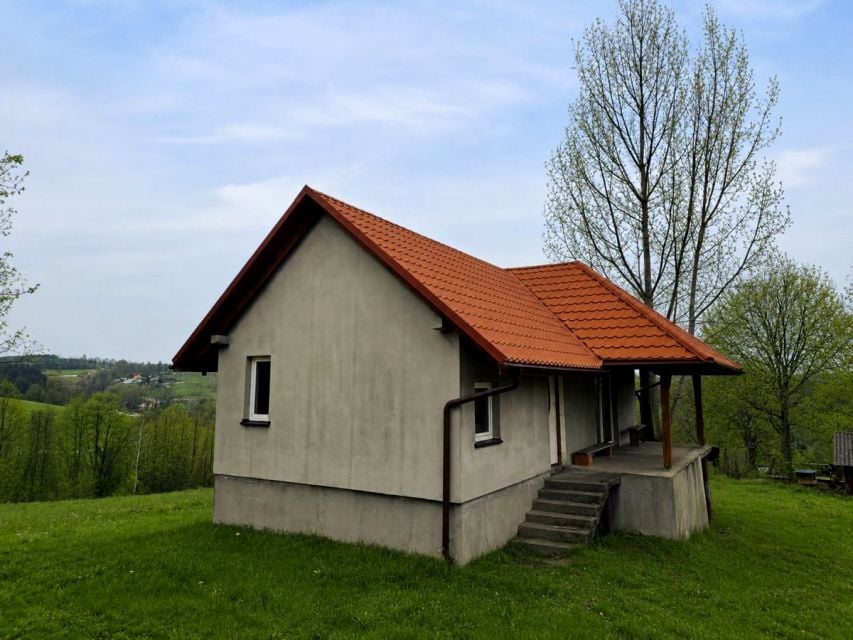Zdjęcie 3