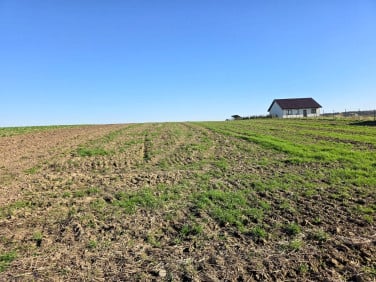 Działka budowlana Roztoka