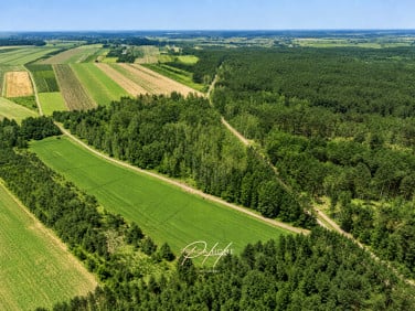 Działka leśna Wyśmierzyce