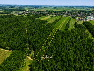 Działka leśna Wyśmierzyce sprzedam