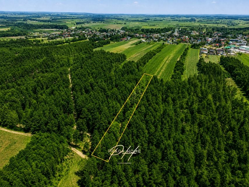 Działka leśna Wyśmierzyce