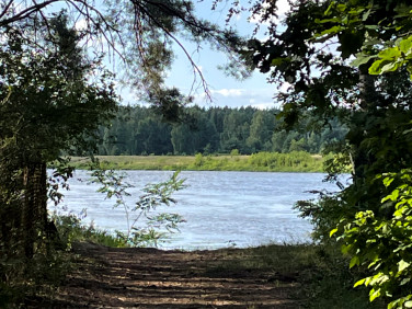Działka inna Rogóźno