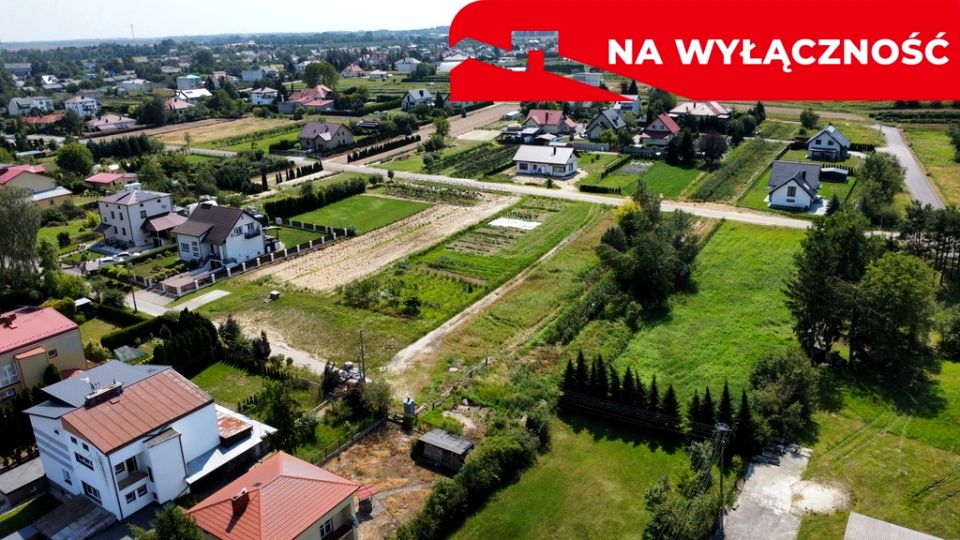 Zdjęcie 2
