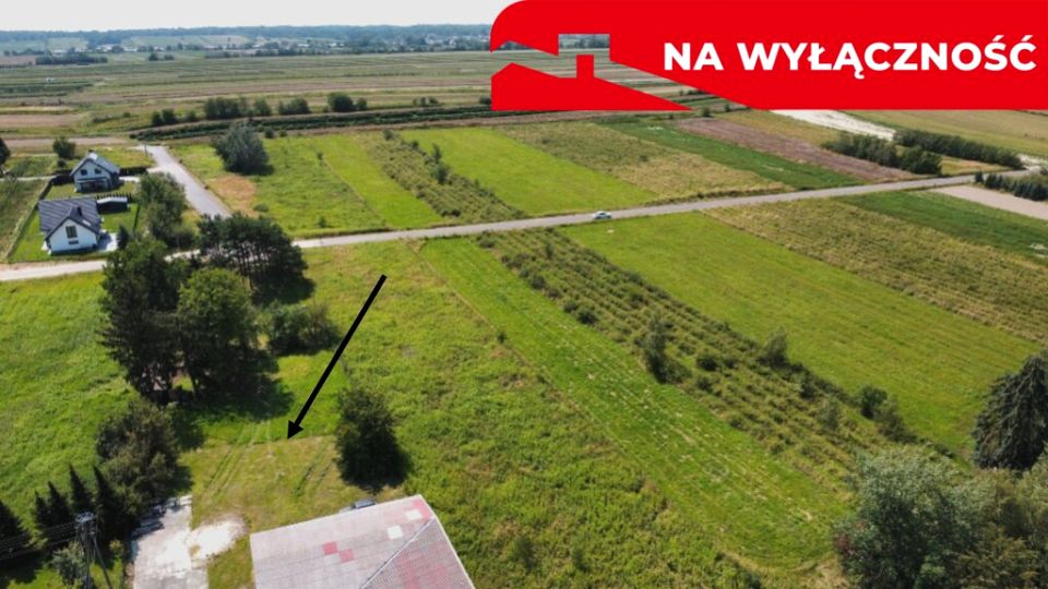 Zdjęcie 3