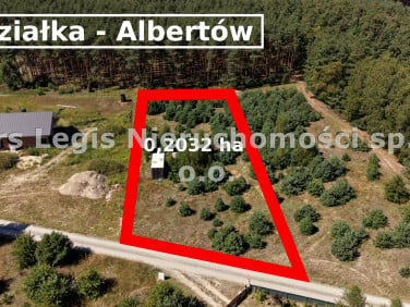Działka budowlana Albertów