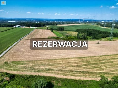 Działka Gołuchowice