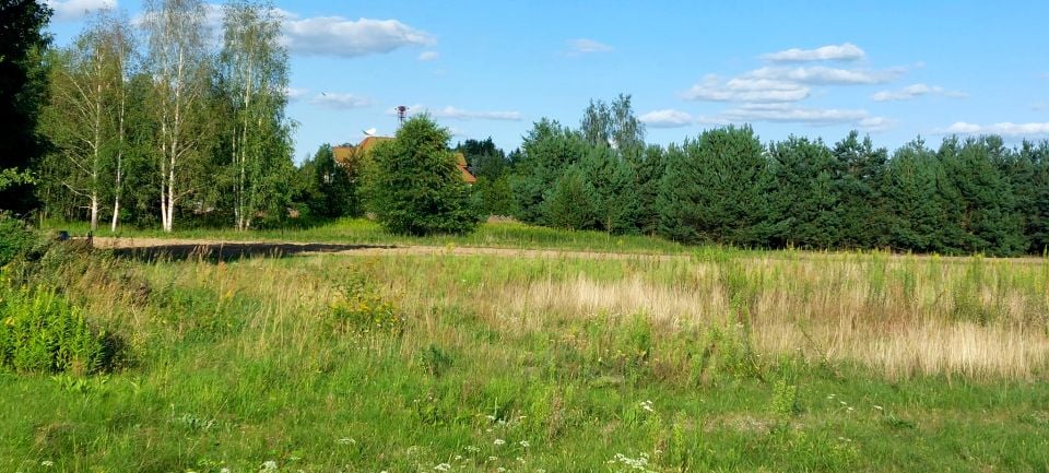 Działka budowlana Nowy Wilków