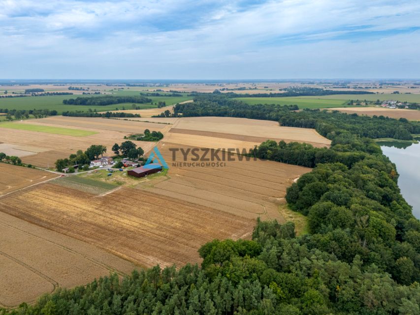 Zdjęcie 3