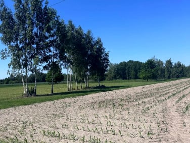 Działka Nowe Paski