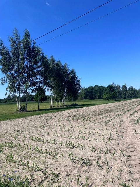 Działka Nowe Paski