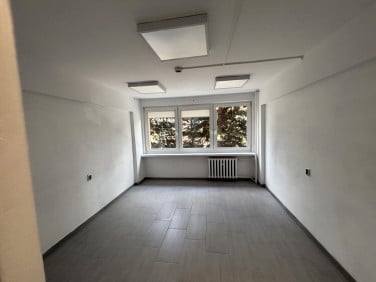 Lokal Łódź