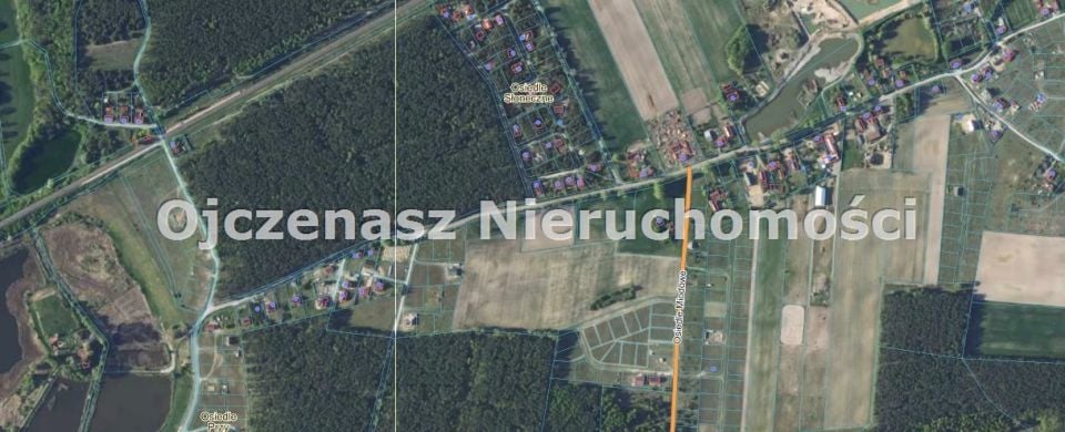 Zdjęcie 2