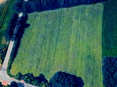 Działka inna Rożny sprzedam