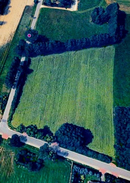 Działka inna Rożny sprzedam