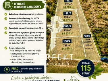 Pusta działka Chojna